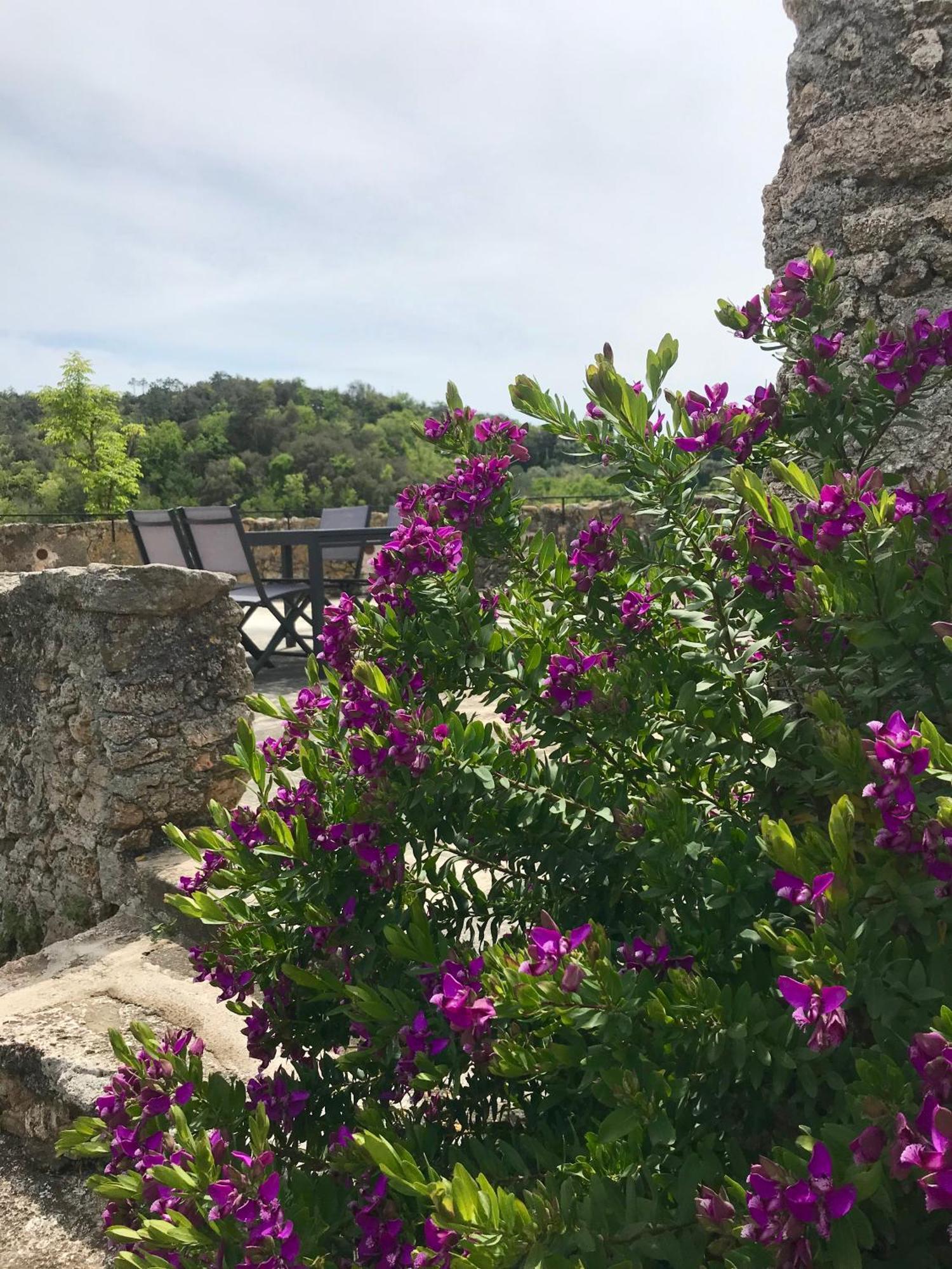 Arma Delle Manie Apartment Finale Ligure